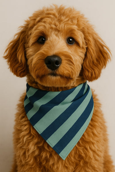 Argonaut Bandana